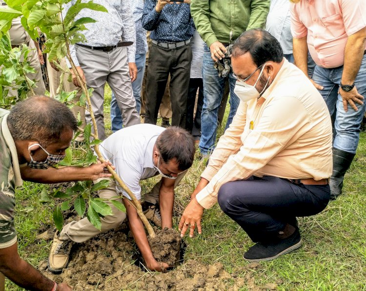কাজিৰঙা ৰাষ্ট্ৰীয় উদ্যানত বিশ্ব পৰিৱেশ দিৱস : মন্ত্ৰী কেশৱ মহন্তৰ বৃক্ষ ৰোপণ : ছাত্ৰ ছাত্ৰীৰ মাজত গছ পুলি বিতৰণ :