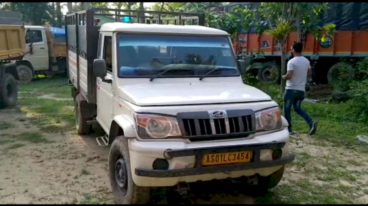 গোলাঘাটত চোৰাং কাঠ ভৰ্ত্তি বলে'ৰ পিকআপ জব্দ