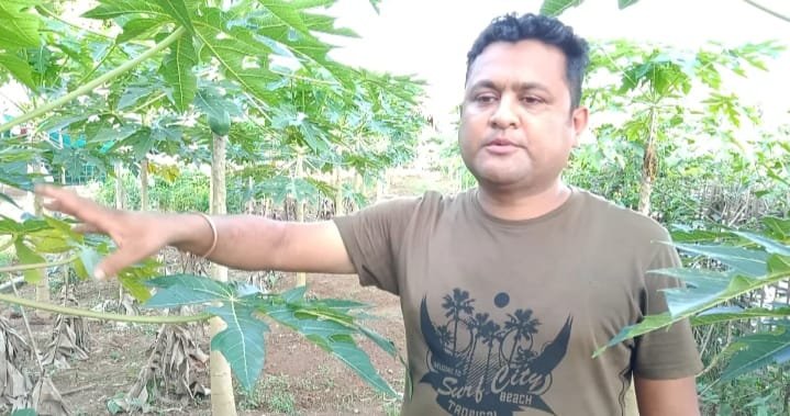 ডিব্ৰুগড়ৰ দীপক বৰাই জৈৱিক কৃষি কৰ্মৰে দেখুৱাইছে উৎকৃষ্ট নিদৰ্শন