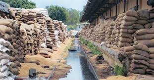 এফচিআইৰ গুদামত ৪০ হাজাৰটন খাদ্যসামগ্রী নষ্ট