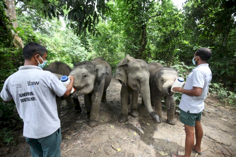 কাজিৰঙাৰ ৰাষ্ট্ৰীয় উদ্যানৰ বন্যপ্ৰাণী পুনৰসংস্থাপন আৰু সংৰক্ষণ কেন্দ্ৰৰ ১৮ সংখ্যক প্ৰতিষ্ঠা দিৱস উদযাপন :