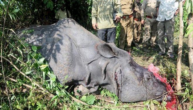 গঁড় হত্যা নহয় এতিয়া কভিড ১৯ ৰ সংক্ৰমণৰ বাবে বোকাখাত আৰক্ষী মুকামোৰনি হৈছে মনিপুৰৰ চোৰাং চিকাৰী  চিনজাচন ভাল্টে :