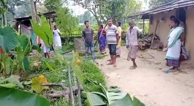 গোলাঘাটৰ বকিয়াল মহল তিনিআলিত বনৰীয়া হাতীৰ গছকত প্ৰাণ গ’ল পিতা পুত্ৰৰ  :