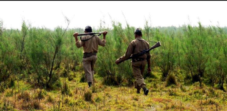কাজিৰঙাৰ বনশিৱিৰতে বন কৰ্মীৰ মৃত্যু  : আত্মহত্যা বুলি  সন্দেহ  :
