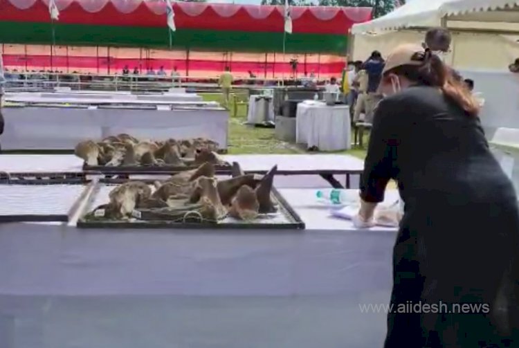 2479 rhino horns burned into ashes in Assam on the occasion of World Rhino Day.