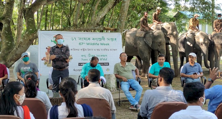 কাজিৰঙাত বন্যপ্ৰাণী সপ্তাহৰ উদ্বোধনী অনুষ্ঠান  : হস্তী দিৱস পালন :  মানাহলৈ বাঘ ৰথৰ যাত্ৰা  :
