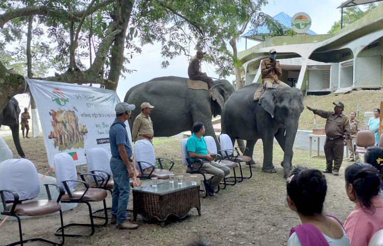 কাজিৰঙাত বন্যপ্ৰাণী সপ্তাহৰ উদ্বোধনী অনুষ্ঠান  : হস্তী দিৱস পালন :  মানাহলৈ বাঘ ৰথৰ যাত্ৰা  :