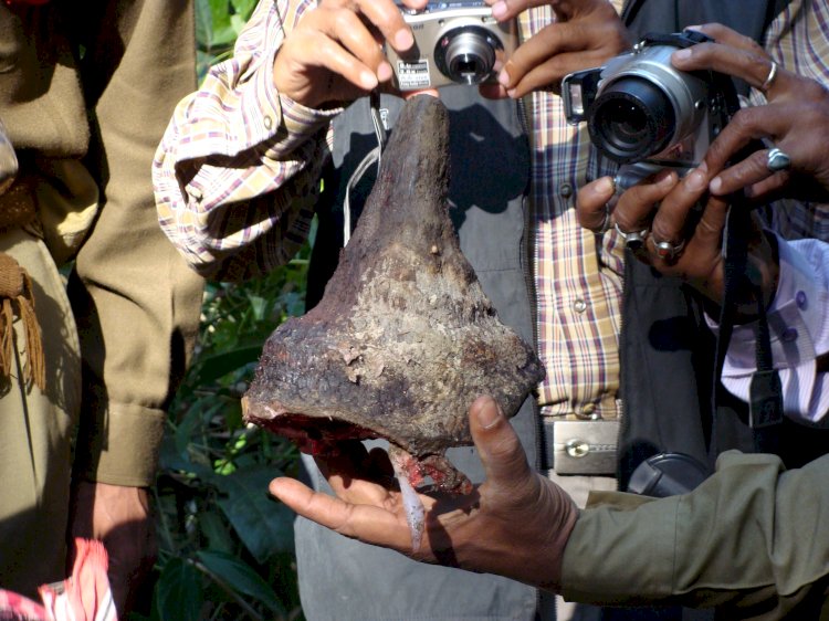কাজিৰঙাত কৰ্মৰত গৃহৰক্ষী জোৱান ভুপেন হাজৰিকালৈ ৰাষ্ট্ৰপতিৰ পদক :  উৎফুল্লিত কাজিৰঙা  :