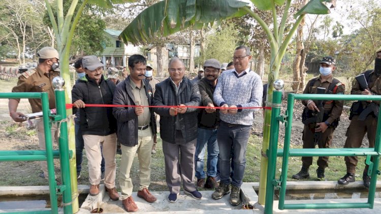 কাজিৰঙাৰ মিহিমুখত বিভাগীয় হাতীৰ খাদ্য গ্ৰহন কেন্দ্ৰ মুকলি  :