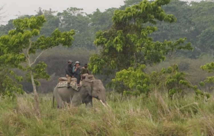 কাজিৰঙাৰ চতুৰ্দশ গঁড় গননাৰ ফলাফল ঘোষণা : এইবাৰৰ গননাত পোৱা ২৬১৩ টা গঁড়ৰ সৈতে বিগত চাৰিটা বৰ্ষত কাজিৰঙাত বৃদ্ধি পাইছে ২০০ টা গঁড়  :