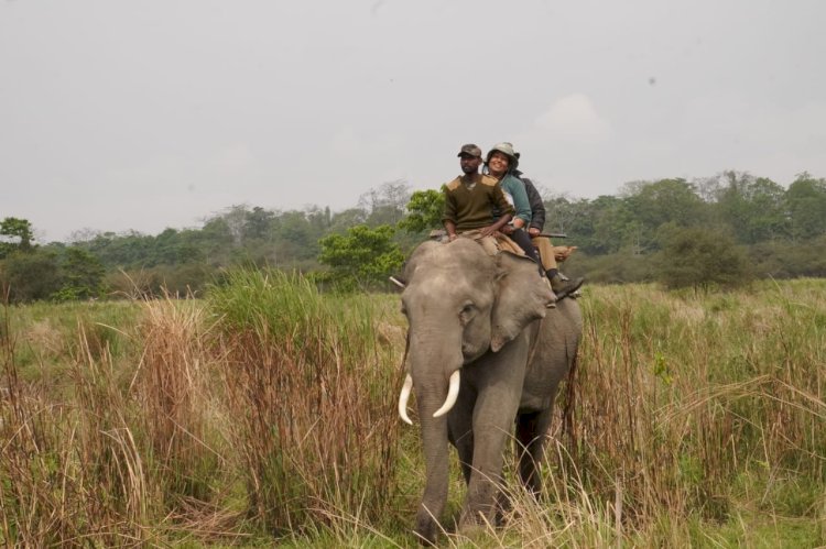 কাজিৰঙাৰ চতুৰ্দশ গঁড় গননাৰ ফলাফল ঘোষণা : এইবাৰৰ গননাত পোৱা ২৬১৩ টা গঁড়ৰ সৈতে বিগত চাৰিটা বৰ্ষত কাজিৰঙাত বৃদ্ধি পাইছে ২০০ টা গঁড়  :