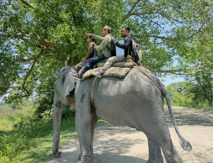 আজিৰে পৰা কাজিৰঙা ৰাষ্ট্ৰীয় উদ্যান ও বাঘ সংৰক্ষিত বনাঞ্চলত আৰম্ভ হৈছে ১৮ সংখ্যক দল হৰিণৰ গননা  :
