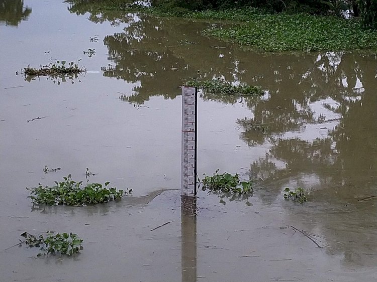 বানত কাজিৰঙা ৰাষ্ট্ৰীয় উদ্যানৰ ৫৫ টা বন শিৱিৰৰ তলত পানী :  ১ টা নাহৰফুটুকী বাঘৰ লগতে ৩ টা পহু এনিমেল কৰিডৰত গাড়ী খুন্দাত মৃত্যু  :