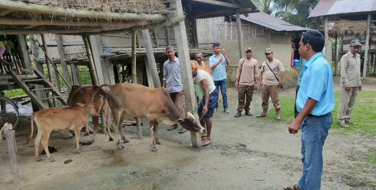 কাজিৰঙা ৰাষ্ট্ৰীয় উদ্যানৰ দাঁতি কাষৰীয় অঞ্চল পশুধনক বিনামুলীয়া প্ৰতিষেধক প্ৰদান অভিযানৰ সফল সামৰণী : ৩২৩৭ টা পৰিয়ালৰ মুঠ ১৭ হেজাৰ ৮০০ পশুধনক প্ৰতিষেধক প্ৰদান  :