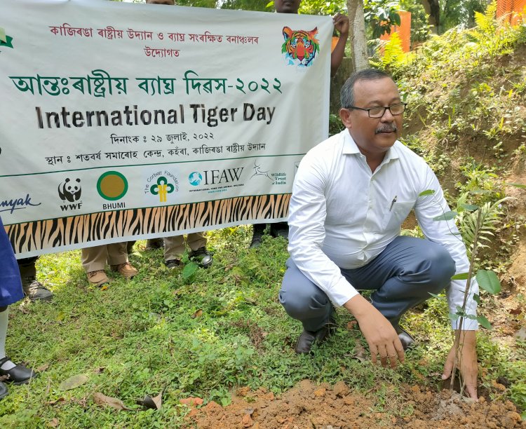 কাজিৰঙা ৰাষ্ট্ৰীয় উদ্যানতোও আন্ত: ৰাষ্ট্ৰীয় ব্যাঘ্ৰ দিৱস উদযাপন : স্থানীয় ১৮ গৰাকী লোকক ক্ষতিপুৰণ আৰু ৩৯ গৰাকী বন কৰ্মীক সম্বৰ্ধনা  :