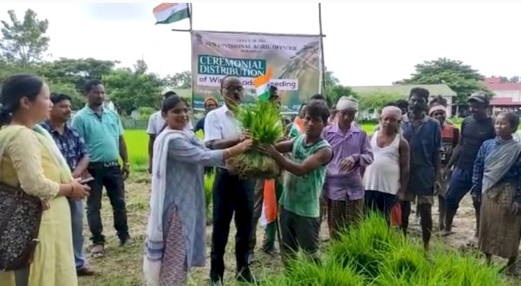 বোকাখাতৰ কৃষকৰ মাজত মহকুমা কৃষি বিভাগৰ দ্বাৰা প্ৰস্তুত কৰা শালিধানৰ কঠিয়াৰ বিতৰণ  :