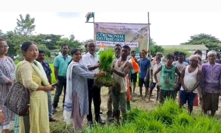 বোকাখাতৰ কৃষকৰ মাজত মহকুমা কৃষি বিভাগৰ দ্বাৰা প্ৰস্তুত কৰা শালিধানৰ কঠিয়াৰ বিতৰণ  :