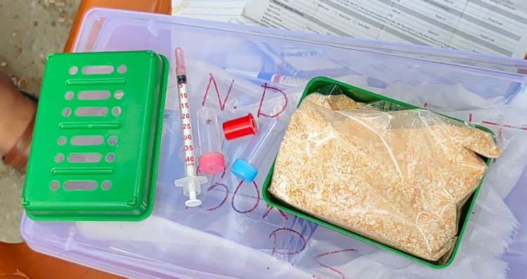 বোকাখাতত ড্ৰাগচসহ এজন যুৱকক আটক : উদ্ধাৰ কন্টেইনাৰ সহ ১৩ গ্ৰাম হেৰ'ইন  :