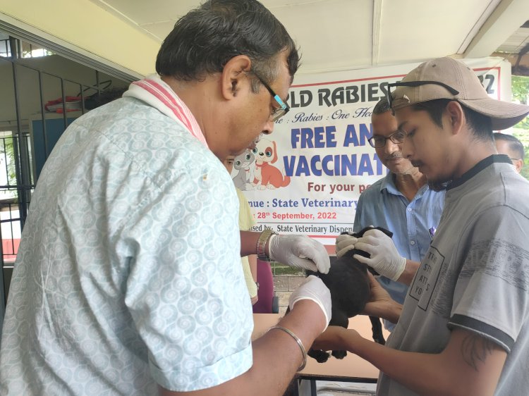 পশু পালন আৰু পশু চিকিৎসা বিভাগৰ উদ্যোগত বোকাখাতত বিশ্ব জলাতংক দিৱস উদযাপন  : শতাধিক কুকুৰক জলাতংক ৰোগৰ বিনামুলীয়া প্ৰতিষেধক প্ৰদান  :