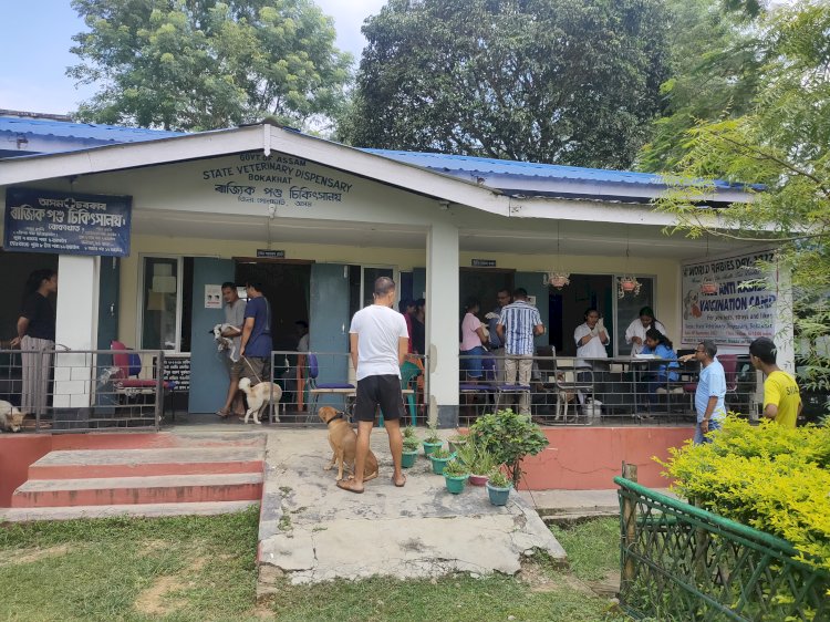 পশু পালন আৰু পশু চিকিৎসা বিভাগৰ উদ্যোগত বোকাখাতত বিশ্ব জলাতংক দিৱস উদযাপন  : শতাধিক কুকুৰক জলাতংক ৰোগৰ বিনামুলীয়া প্ৰতিষেধক প্ৰদান  :