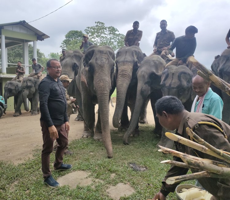 কাজিৰঙাত ৬৮ সংখ্যক বন্যপ্ৰাণী সপ্তাহৰ দ্বিতীয় দিনৰ কাৰ্যসুচী হস্তী দিৱস হিচাবে উদযাপন  :