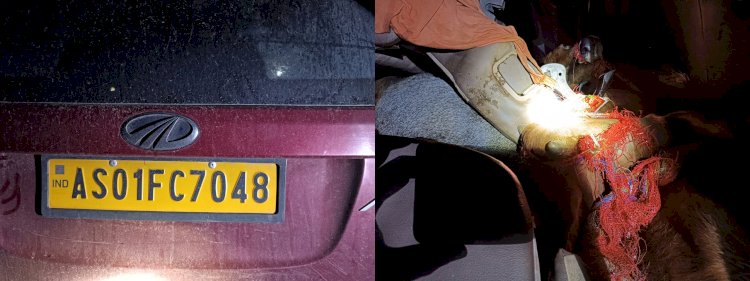 এইবাৰ বনবিভাগৰ জালত চোৰাং গৰু ব্যৱসায়ী  : এখন বিলাসী জাইল' গাড়ীৰ ভিতৰৰ পৰা অবিশ্বাস্য ভাৱে উদ্ধাৰ হয় ৭ টাকৈ গৰু  :