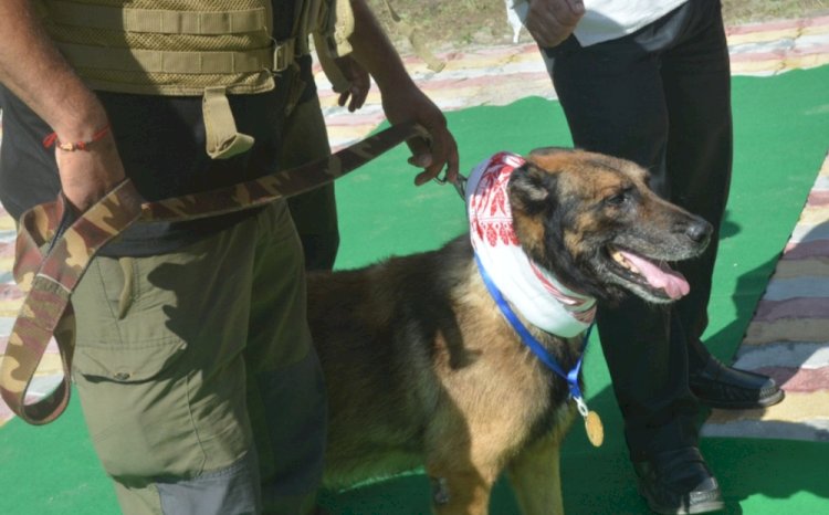 আৰণ্যকৰ কে- ৯ গোটৰ অন্যতম নায়ক জৰবাৰ মৃত্যু  :  জৰবালৈ শেষ শ্ৰদ্ধা আৰু গভীৰ শ্ৰদ্ধাঞ্জলি  :