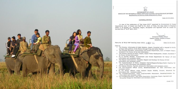 কাজিৰঙাত গজ উৎসৱ  : ৬,৭ আৰু ৮ এপ্ৰিলত পৰ্যটকৰ বাবে বন্ধ থাকিব কাজিৰঙাৰ হাতী আৰু জীপ চাফাৰী  :