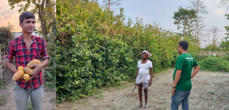 নেমুৰ গছেৰে জৈৱিক বেৰা দি  উজনি অসমৰ শিৱসাগৰত কৃষক আৰু স্থানীয় লোকে উপশম কৰিবলৈ সক্ষম হৈছে হাতী-মানুহৰ সংঘাত : আৰ্থিক ভাৱে লাভৱান হ'বলৈও সক্ষম হৈছে  :