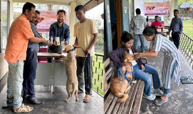 বোকাখাত ৰাজ্যিক পশু চিকিৎসালত বিশ্ব যকৃত দিৱস উদযাপন :