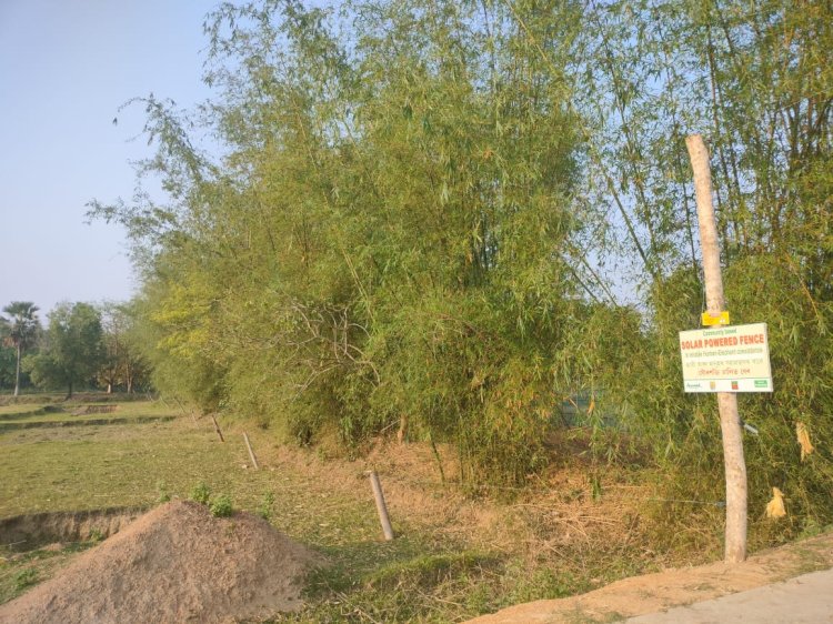 হাতী-মানুহৰ সংঘাত নিয়ন্ত্ৰনৰ বাবে গোৱালপাৰা জিলাৰ বৰদল গাওঁত  আৰণ্য়কৰ উদ্য়োগত সৌৰ চালিত বৈদ্য়ুতিক বেৰৰ সং স্থাপন  :