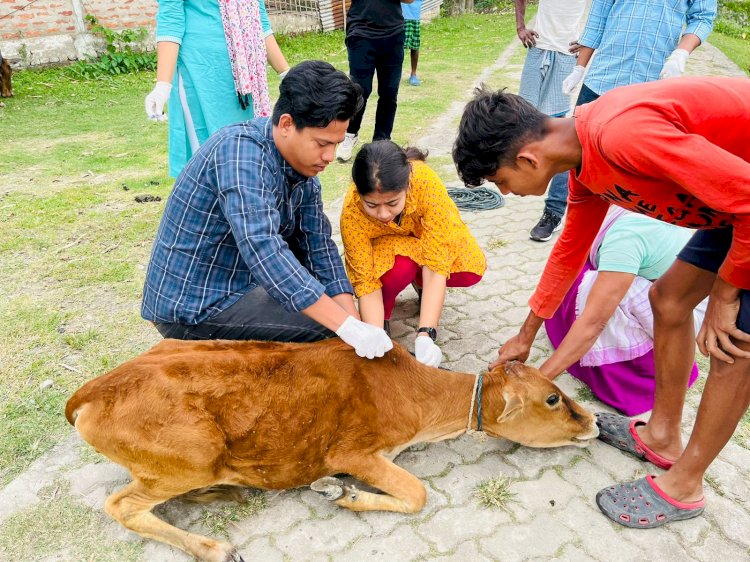 পশু পালন আৰু পশু চিকিৎসা বিভাগৰ উদ্যোগত ইমজাৰ সহযোগত বোকাখাতৰ নিকৰিঘাটত বিশ্ব পশু চিকিৎসা দিৱস পালন  :