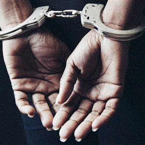 বোকাখাত নগৰত আৰক্ষীৰ অভিযান :  ড্ৰাগচসহ এটা পেডেলাৰক আটক  :