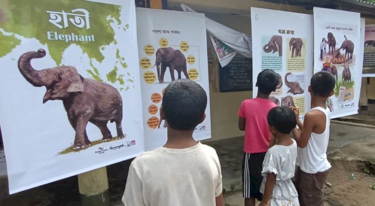 উজনি অসমত হাতী মানুহৰ সংঘাত প্ৰশমনৰ বাবে আৰণ্যকৰ গজ কথাৰ অভিযান :