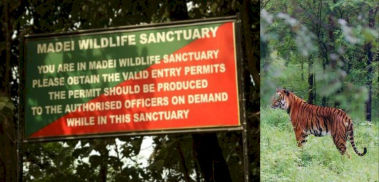 বাঘ সংৰক্ষিত বনাঞ্চল গঠনৰ বাবে ৰাষ্ট্ৰীয় বাঘ সংৰক্ষন প্ৰধিকৰণে দিয়া প্ৰস্তাৱ নাকচ গোৱাৰ ৰাজ্যিক বন্যপ্ৰাণী আয়োগৰ :