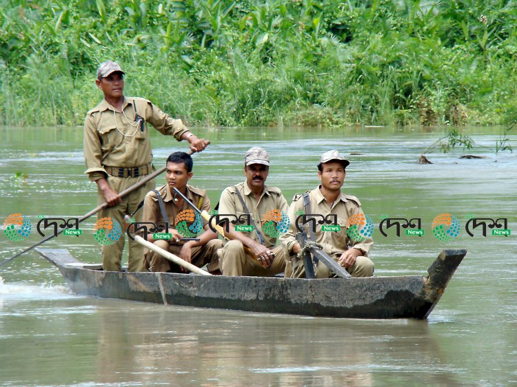 প্ৰত্যাশিত বানপানীৰ আশাত কাজিৰঙা ৰাষ্ট্ৰীয় উদ্যান : জৈৱতন্ত্ৰক প্ৰভাৱিত কৰিব পৰাকৈ প্লাৱিত হোৱা নাই কাজিৰঙা :  বিগত দুটা দিনত নিম্নগামী জলপৃষ্ঠ :  ক্ৰমান্বয়ে কমিবলৈ লৈছে ৰাষ্ট্ৰীয় উদ্যানৰ জলমগ্ন অঞ্চলৰ পানী  :