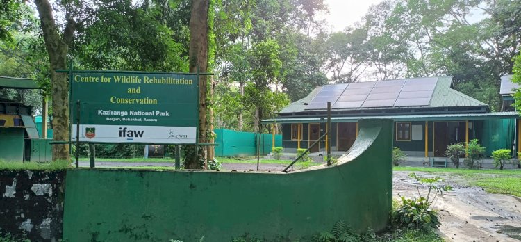 বোকাখাতৰ বৰজুৰিত থকা বন্যপ্ৰাণী পুনৰ সংস্থাপন আৰু সংৰক্ষণ কেন্দ্ৰৰ ২০ সংখ্যক প্ৰতিষ্ঠা দিৱস উদযাপন :