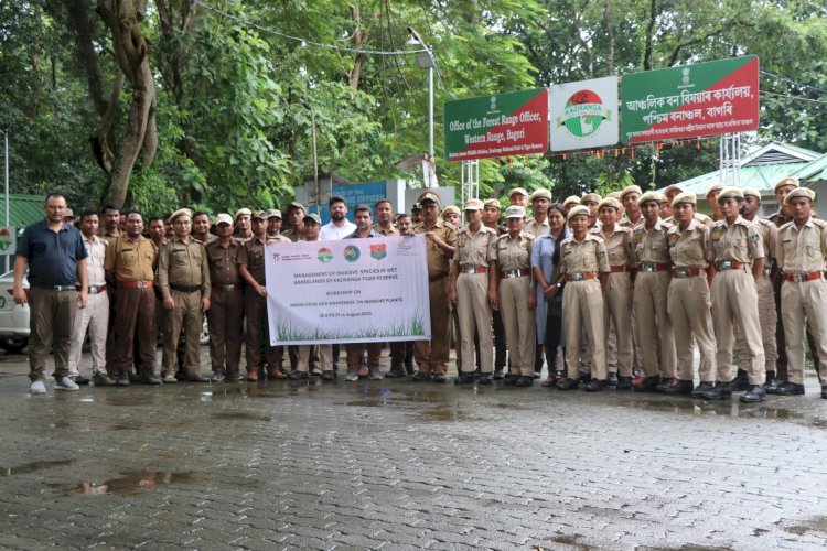 কাজিৰঙাৰ বনকৰ্মীৰ বাবে ভাৰতীয় বন্যপ্ৰাণী প্ৰতিষ্ঠানৰ উদ্ভিদ সম্পৰ্কীয় দুদিনীয়া কৰ্মশালা  :