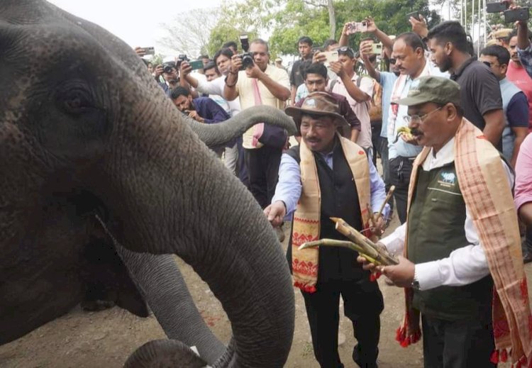 ২০২৩ - ২৪ পৰ্যটন বৰ্ষৰ বাবে মুকলি হ'ল কাজিৰঙা ৰাষ্ট্ৰীয় উদ্যান : কঁহৰাৰ মিহিমুখত ফিটা কাটি পৰ্যটকৰ বাবে মুকলি কৰে বন মন্ত্ৰী চন্দ্ৰমোহন পাটোৱাৰীয়ে  :