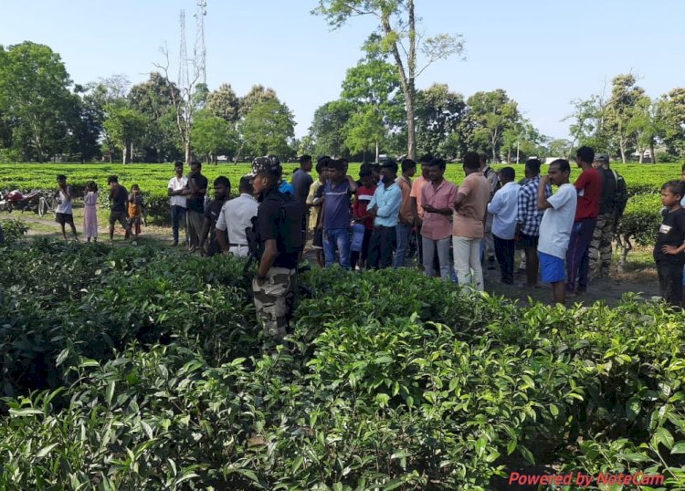 বোকাখাতৰ বৰজুৰিত ৰাষ্ট্ৰীয় পথৰ কাষৰ চাহ বাগিচাত অচিনাক্ত মৃতদেহ উদ্ধাৰ  :