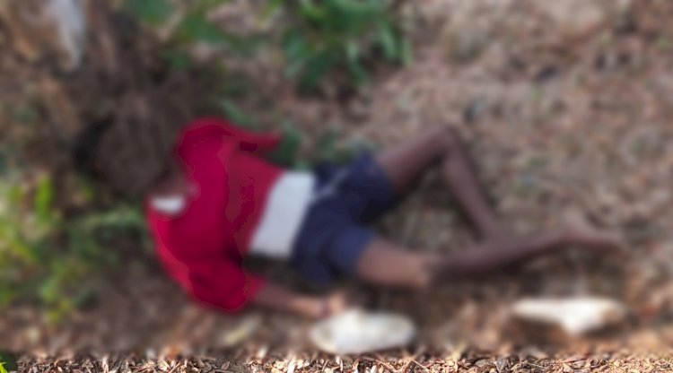 বোকাখাতৰ বৰজুৰিৰ দলামৰা পথৰ কাষত যুৱকৰ মৃতদেহ উদ্ধাৰ  : পৰিকল্পিত হত্যা কাণ্ড বুলি সন্দেহ স্থানীয় লোকৰ  :