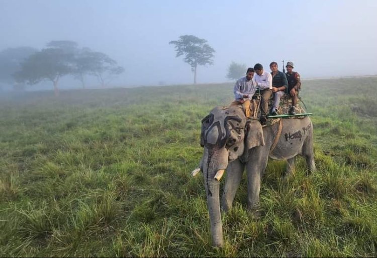 কাজিৰঙাৰ বাগৰিৰ ব্যক্তিগত হাতী চাফাৰি বন্ধৰ সিধান্ত বাতিল :  দ্বিপাক্ষিক আলোচনাৰ পিচত ২৫ ডিচেম্বৰৰ পৰা পুনৰ আৰম্ভ হ'ব ব্যক্তিগত হাতী চাফাৰী  :