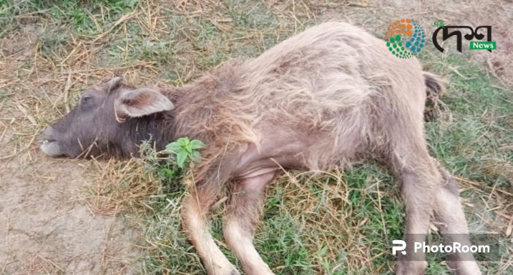 ধৰ্ণা  দিয়াৰ নামত মহিলা বনকৰ্মীক আশালীন মন্তব্য প্ৰতিবাদকাৰীৰ : বোকাখাতত প্ৰতিক্ৰিয়া  : ক্ষোভিত আৰক্ষী আৰু বনকৰ্মী  :