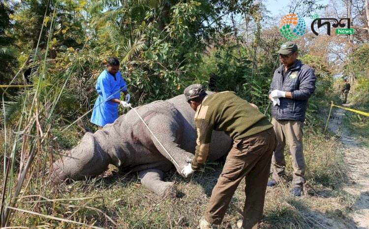 কাজিৰঙাত বছৰৰ প্ৰথমটো গঁড় হত্যা :  খৰ্গ লৈ উধাও চোৰাংচিকাৰীৰ দল  :