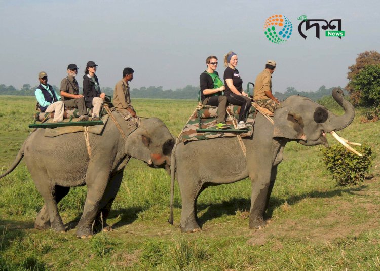কাজিৰঙাত বৃদ্ধি পাইছে দেশী বিদেশী পৰ্যটনৰ আগমন  : সোনালী বাঘ আৰু নদী পৰ্যটনে আকৰ্ষণ কৰিছে পৰ্যটকক  :