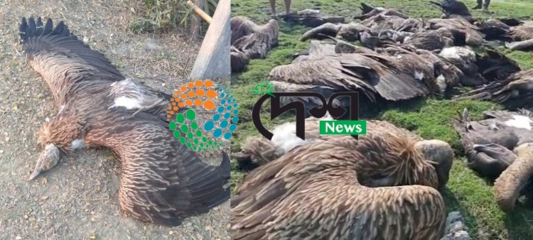 শিৱসাগৰ জিলাত শগুন সংৰক্ষণৰ বাবে ছাত্ৰ ছাত্ৰীৰ মাজত আৰণ্যকৰ সজাগতা অভিযান  :