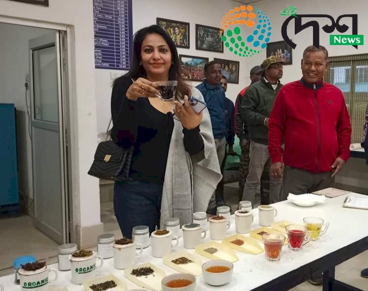 হাতীখুলি চাহ বাগিছাৰ উদ্যোগত কাজিৰঙাত আৰম্ভ হৈছে চাহ পৰ্যটনৰ নতুন ব্যৱস্থা  :