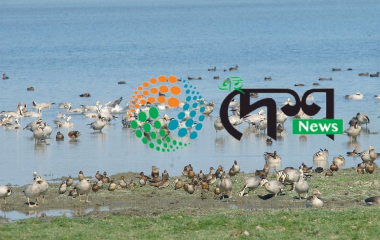 মাজুলীত পৰিভ্ৰমী পক্ষীৰ মৃত্যুৰ ঘটনাৰ পিচত নিষিদ্ধ কীটনাশক ম’ন’ক্ৰটফচৰ ব্যৱহাৰকলৈ ৰাজ্যৰ কৃষি বিভাগৰ জৰুৰী নিৰ্দেশ :