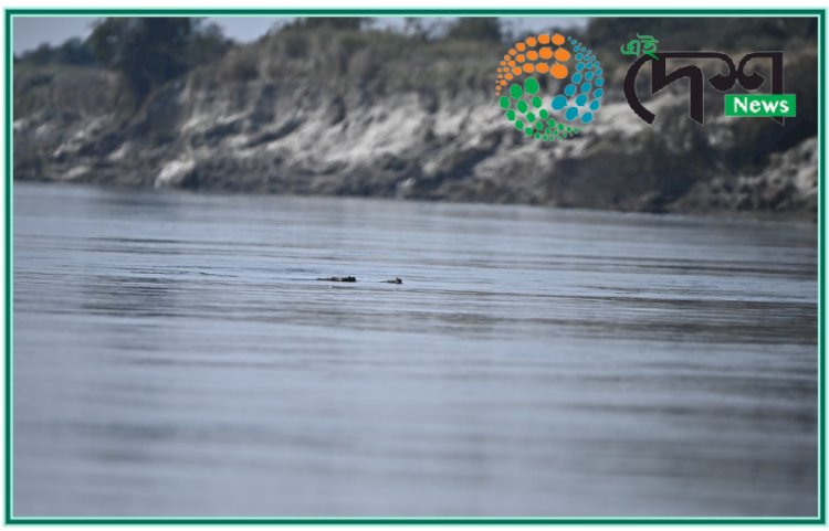 কাজিৰঙাৰ জৈৱতন্ত্ৰৰ নতুন সংযোজন ভাৰতীয় ঘৰিয়াল  : ৰাষ্ট্ৰীয় উদ্যানখনৰ ব্ৰহ্মপুত্ৰত তৃতীয়বাৰৰ বাবে দেখা পোৱা গৈছে ঘৰিয়াল  :