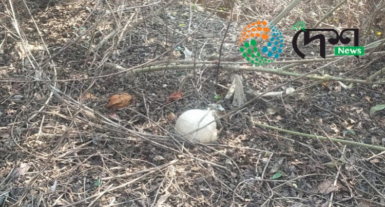 বোকাখাতৰ নাহৰজান চাহ বাগিছাত নৰ কংকাল উদ্ধাৰ  :